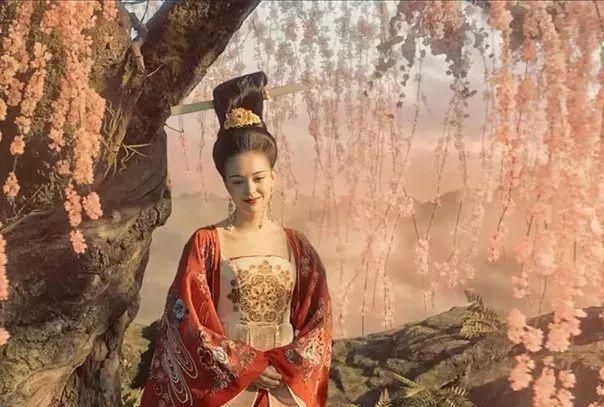 杨贵妃真的吃过鲜荔枝吗,杨贵妃吃的是新鲜荔枝吗图5