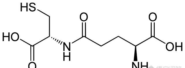 谷胱甘肽结构中谷氨酸的羧基图4