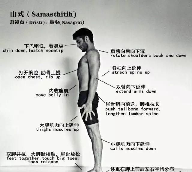 瑜伽山式站立怎么站(瑜伽山式站立的基本要领)图1