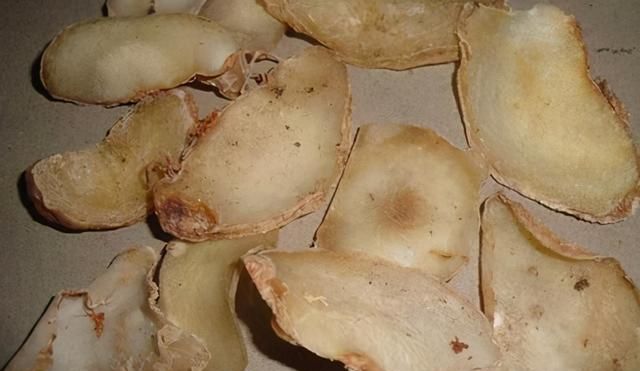 每天学习一味中草药止咳化痰药1温化寒痰药---天南星
