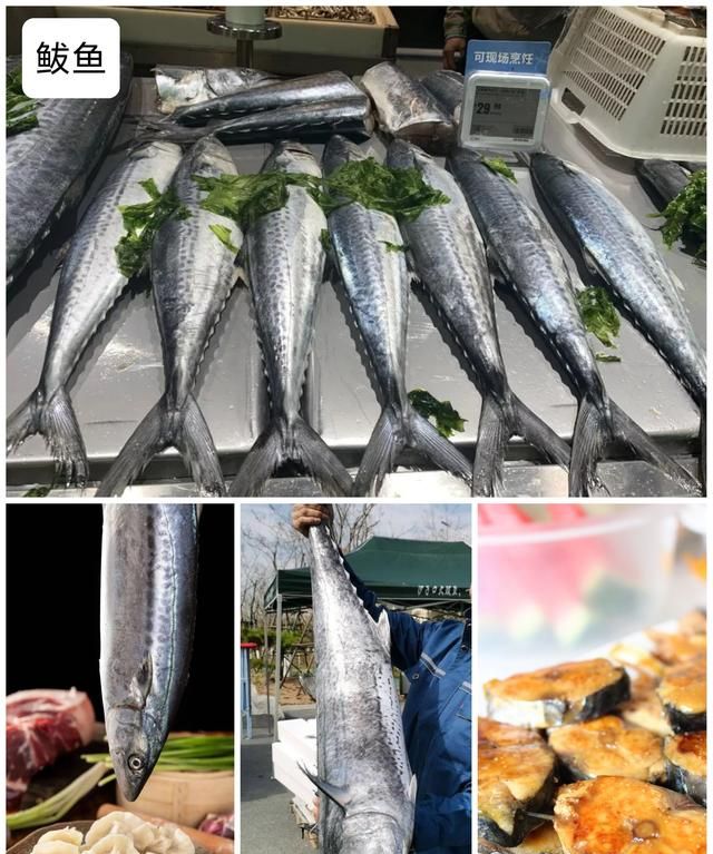 40种“好吃不贵”的野生海鱼（上），附：价格和吃法，请收藏