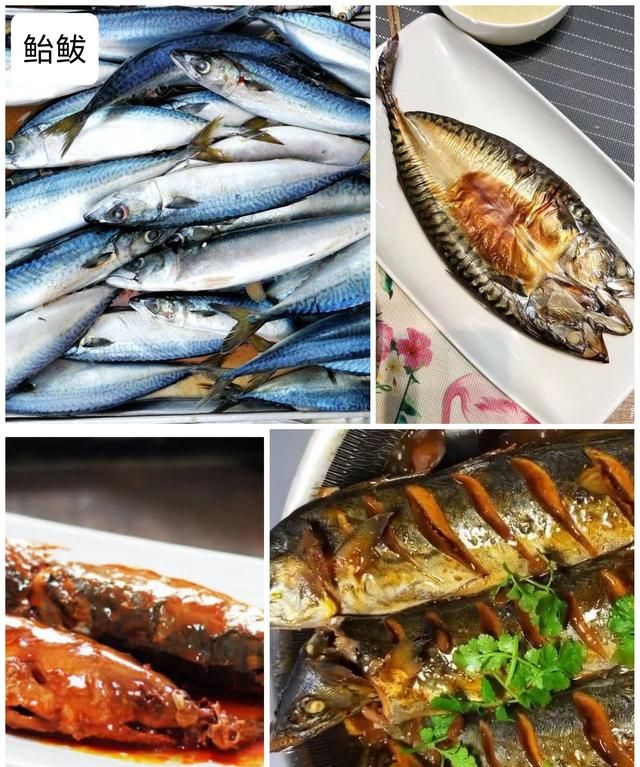 40种“好吃不贵”的野生海鱼（上），附：价格和吃法，请收藏