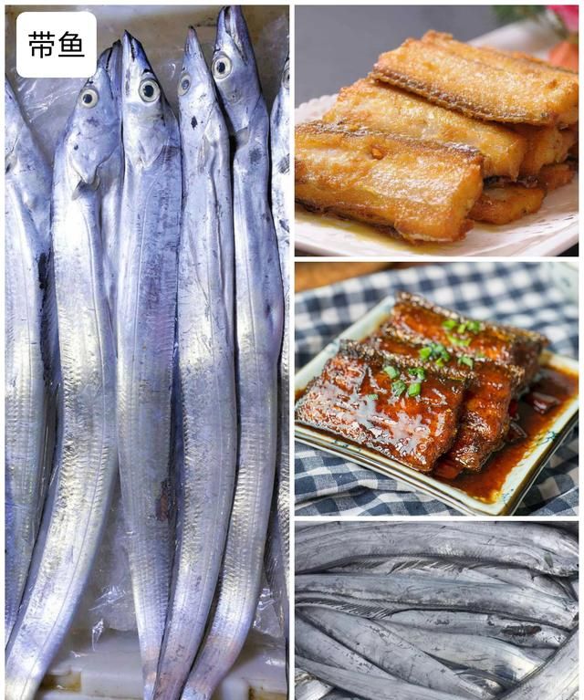 40种“好吃不贵”的野生海鱼（上），附：价格和吃法，请收藏