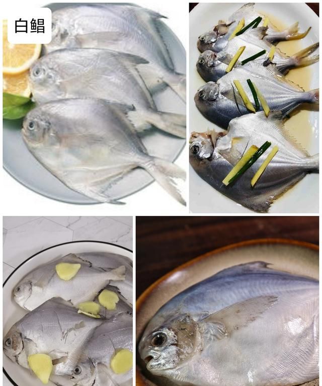 40种“好吃不贵”的野生海鱼（上），附：价格和吃法，请收藏
