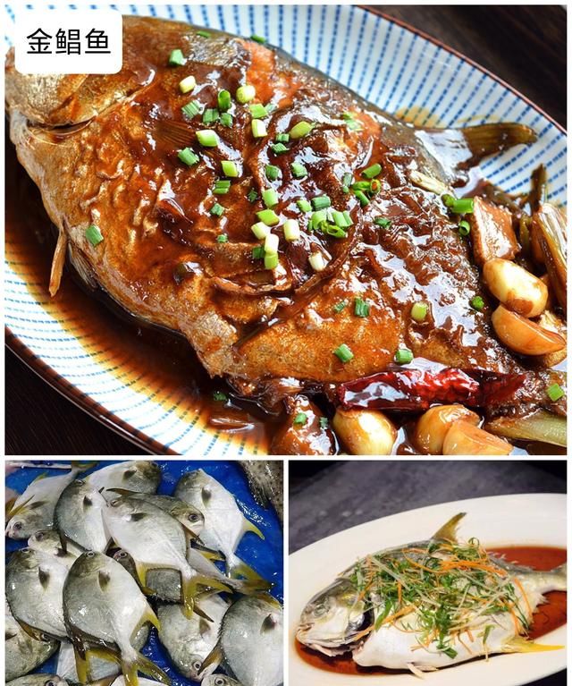 40种“好吃不贵”的野生海鱼（上），附：价格和吃法，请收藏
