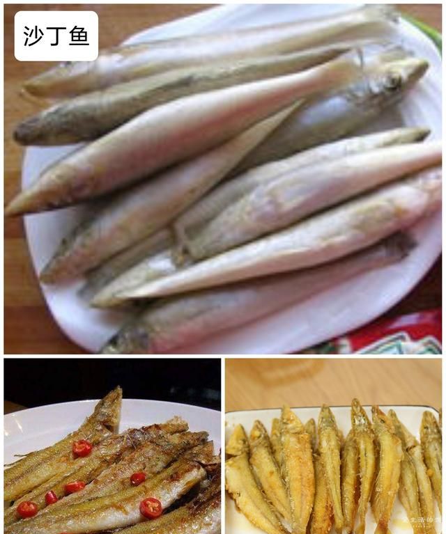 40种“好吃不贵”的野生海鱼（上），附：价格和吃法，请收藏