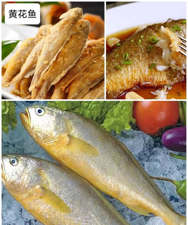 40种“好吃不贵”的野生海鱼（上），附：价格和吃法，请收藏