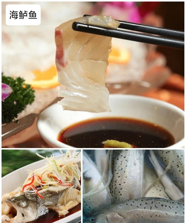 40种“好吃不贵”的野生海鱼（上），附：价格和吃法，请收藏