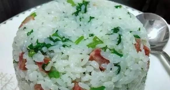 茼蒿也叫皇帝菜能吃几次(茼蒿和皇帝菜是一种菜吗)图14