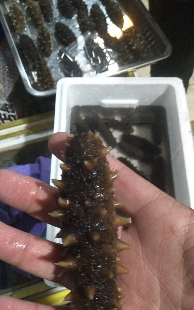 海参怎么做有营养图1