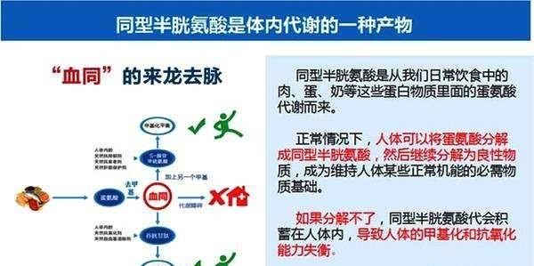 治疗高血压的叶酸片与孕妇吃的一样吗图2