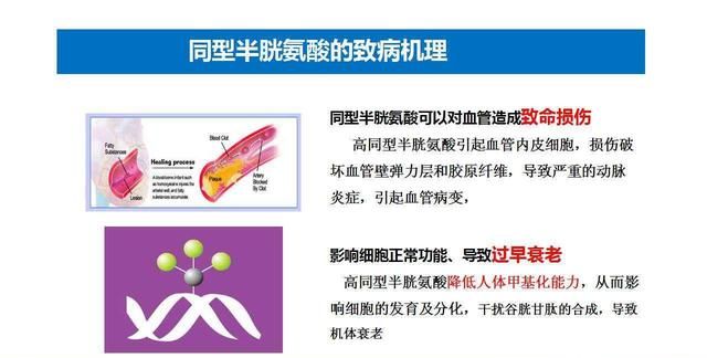 治疗高血压的叶酸片与孕妇吃的一样吗图3