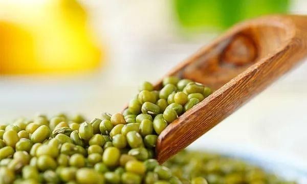常见的绿豆配中药竟能做治疗八种病