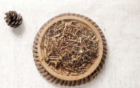 前列腺炎尿急夜尿多的中药方剂