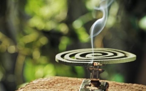 点蚊香对人体有什么危害