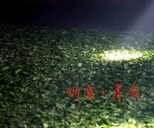 哪种红茶好喝又不贵图6