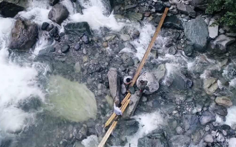 平武蜂蜜什么时候有