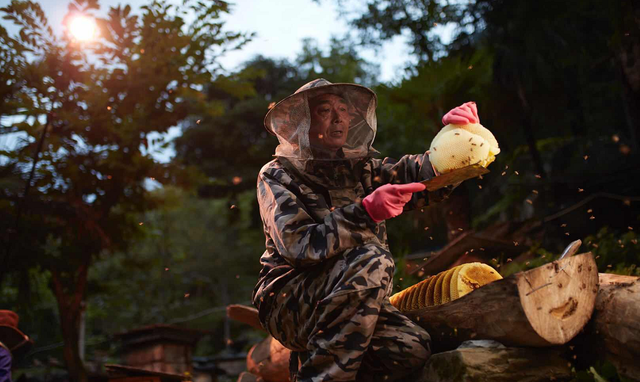 这个七夕甜skr！平武蜂蜜上线天猫40分钟被抢光