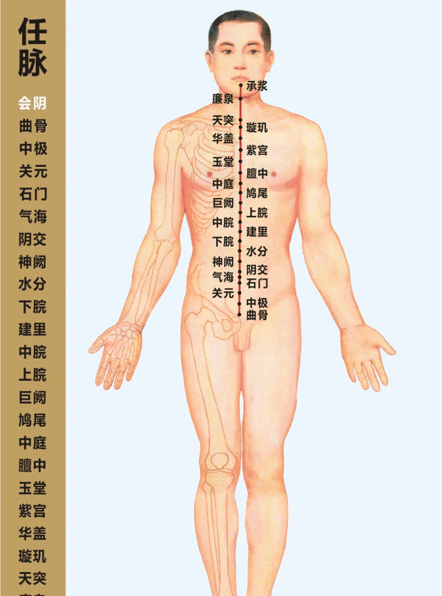 人体经络高清动图，穴位一一对应，收藏起来备用