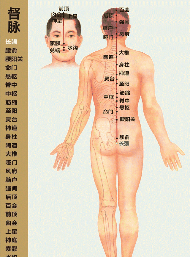 人体经络高清动图，穴位一一对应，收藏起来备用