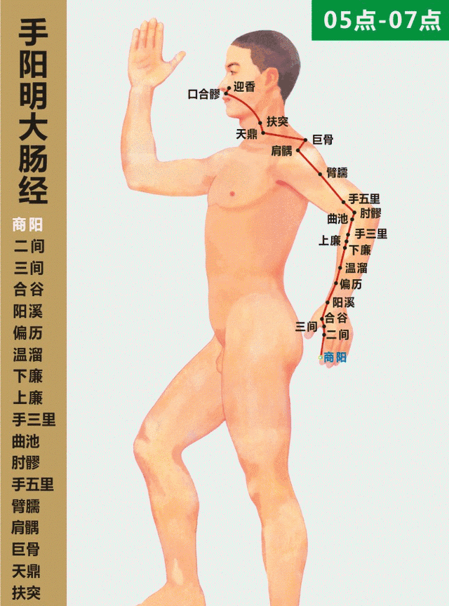 人体经络高清动图，穴位一一对应，收藏起来备用