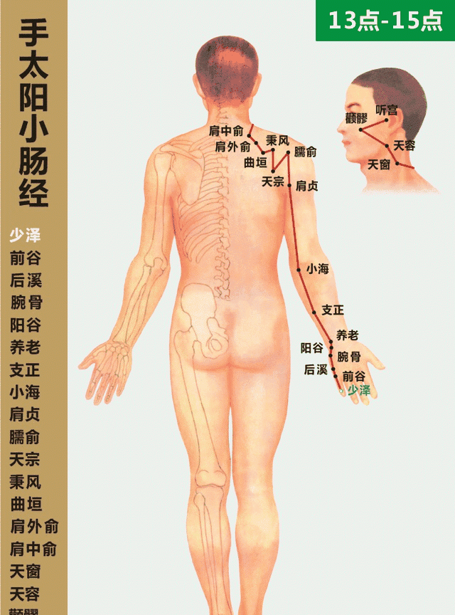 人体经络高清动图，穴位一一对应，收藏起来备用