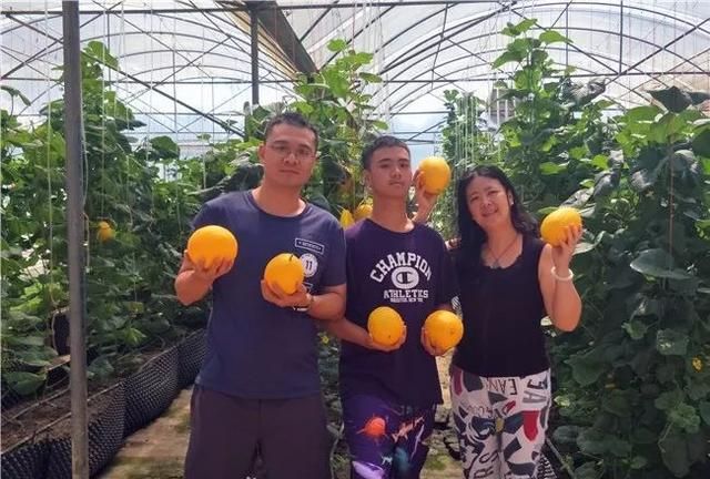 攻略 | 这个夏天， 你的水果已经被玉林五彩田园承包了，红心火龙果、百香果、葡萄、甜瓜、芒果……