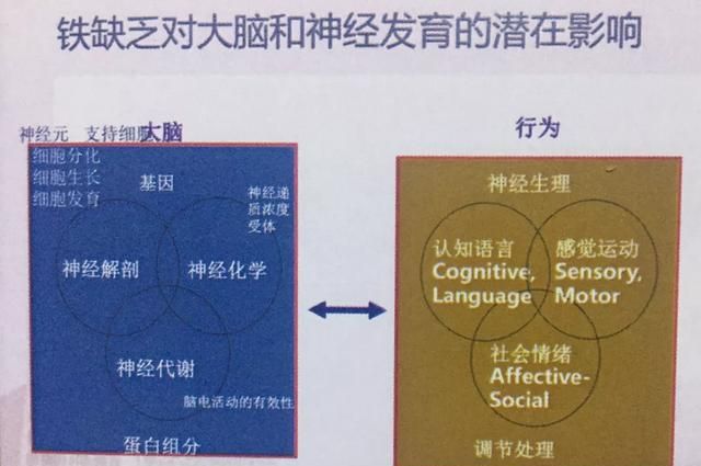 一岁孩子贫血怎么办,8个月孩子贫血图2