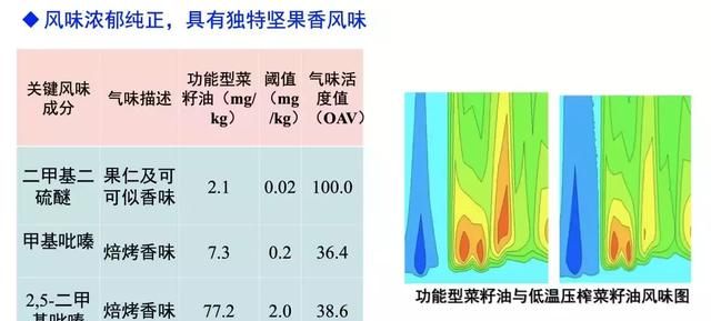 黄凤洪｜为什么菜籽油是“国油之王”?功能型菜籽油守护您的健康