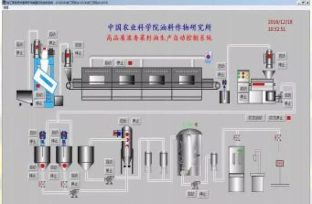 黄凤洪｜为什么菜籽油是“国油之王”?功能型菜籽油守护您的健康