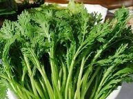 菊花菜有哪些做法,菊花菜怎样吃最好图1