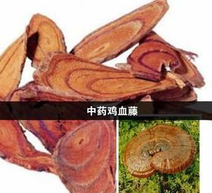 中药鸡血藤