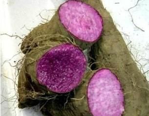 哪种山药最好？原来是它