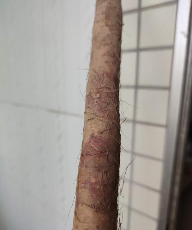 哪种山药最好？原来是它
