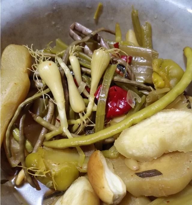 现在这个季节能吃的野菜有哪些(农村随处可见可以吃的野菜有哪些)图18