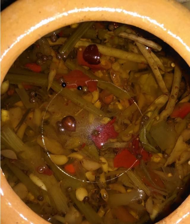 现在这个季节能吃的野菜有哪些(农村随处可见可以吃的野菜有哪些)图23