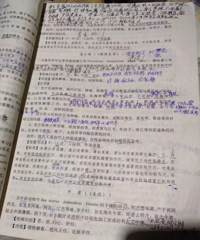 现在这个季节能吃的野菜有哪些(农村随处可见可以吃的野菜有哪些)图30