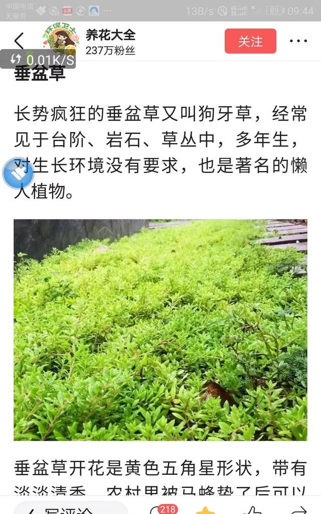 现在这个季节能吃的野菜有哪些(农村随处可见可以吃的野菜有哪些)图34