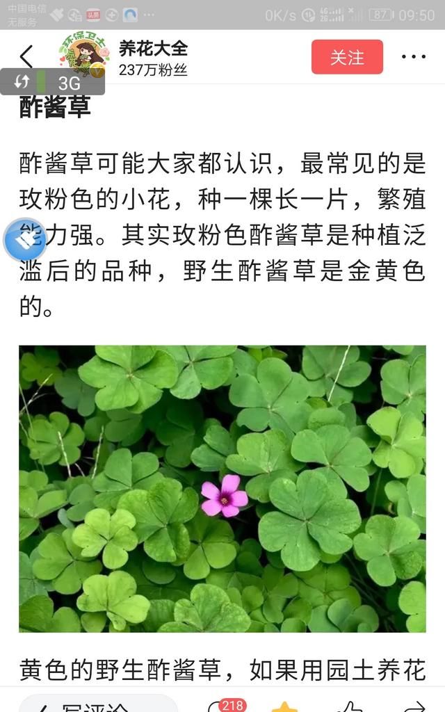 现在这个季节能吃的野菜有哪些(农村随处可见可以吃的野菜有哪些)图43