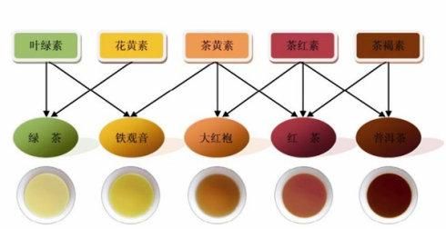 如何摄入茶多酚(茶多酚产品骗局)图3