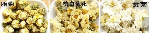 贡菊,杭白菊和胎菊有什么区别,功效一样吗图2