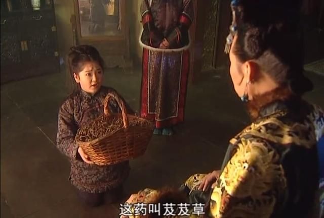 康熙王朝里的芨芨草是什么图2