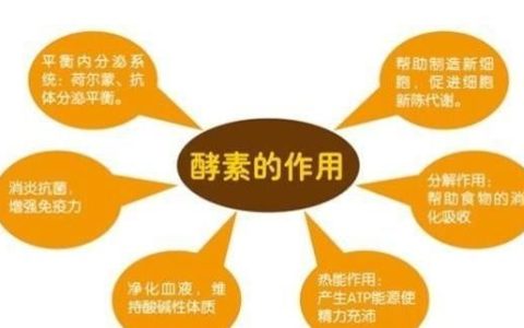 日本若素的功效与作用(日本的夜间酵素有什么副作用)