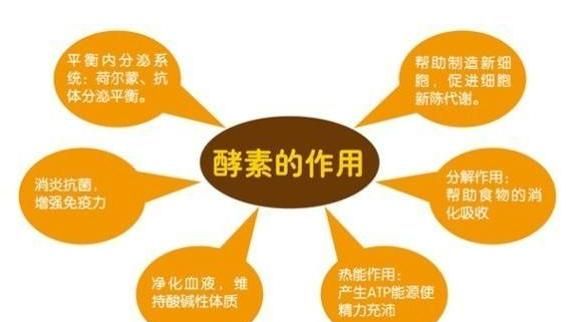 日本若素的功效与作用(日本的夜间酵素有什么副作用)图1