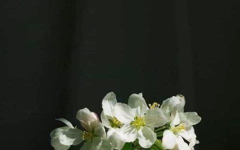 江西财经大学虚拟现实技术专业(虚拟现实技术的专业代码)