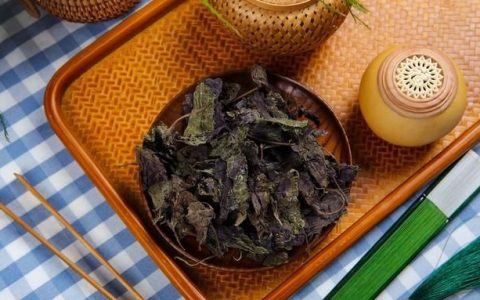苏子是什么(苏子是什么东西)