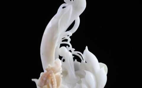 砗磲有什么作用,砗磲有什么作用和功效