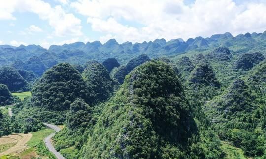 湄潭翠芽它滋味鲜爽、栗香浓郁，究竟是如何泡出的，你知道吗？