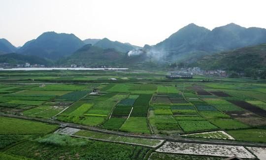 湄潭翠芽它滋味鲜爽、栗香浓郁，究竟是如何泡出的，你知道吗？