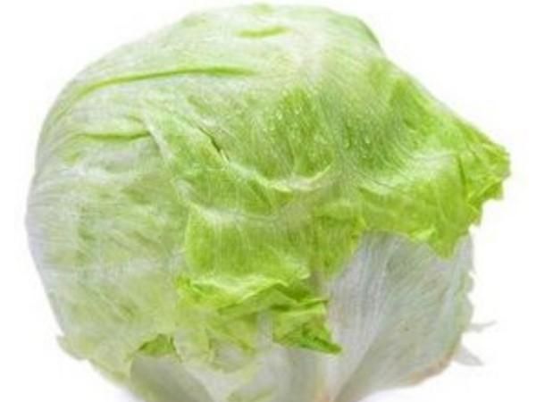 结球生菜如何种植,怎样种植结球生菜图3